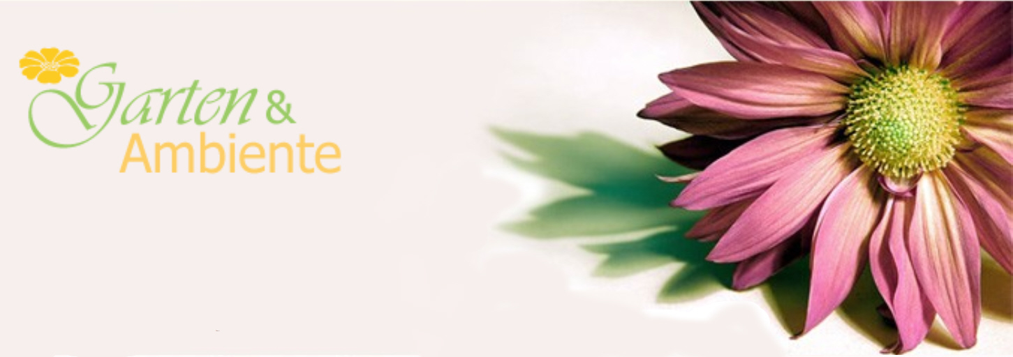 Garten & Ambiente